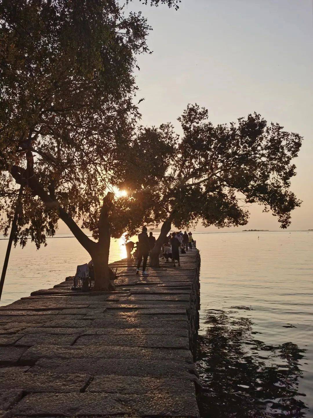 来太湖开启一场沉浸式初冬游吧 ~