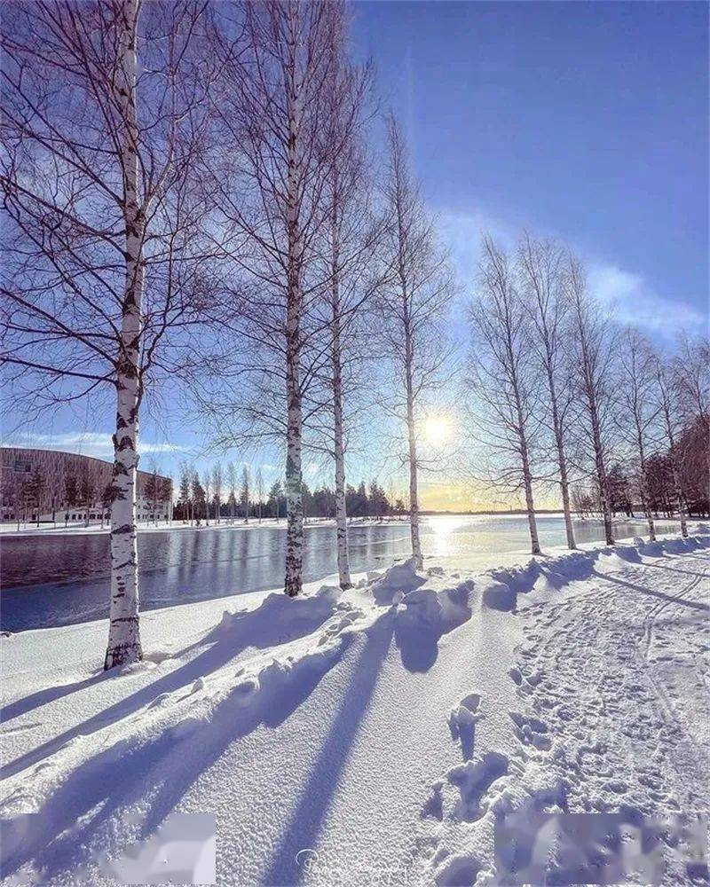 藍天白雪,生生不息_photo_by_那朵