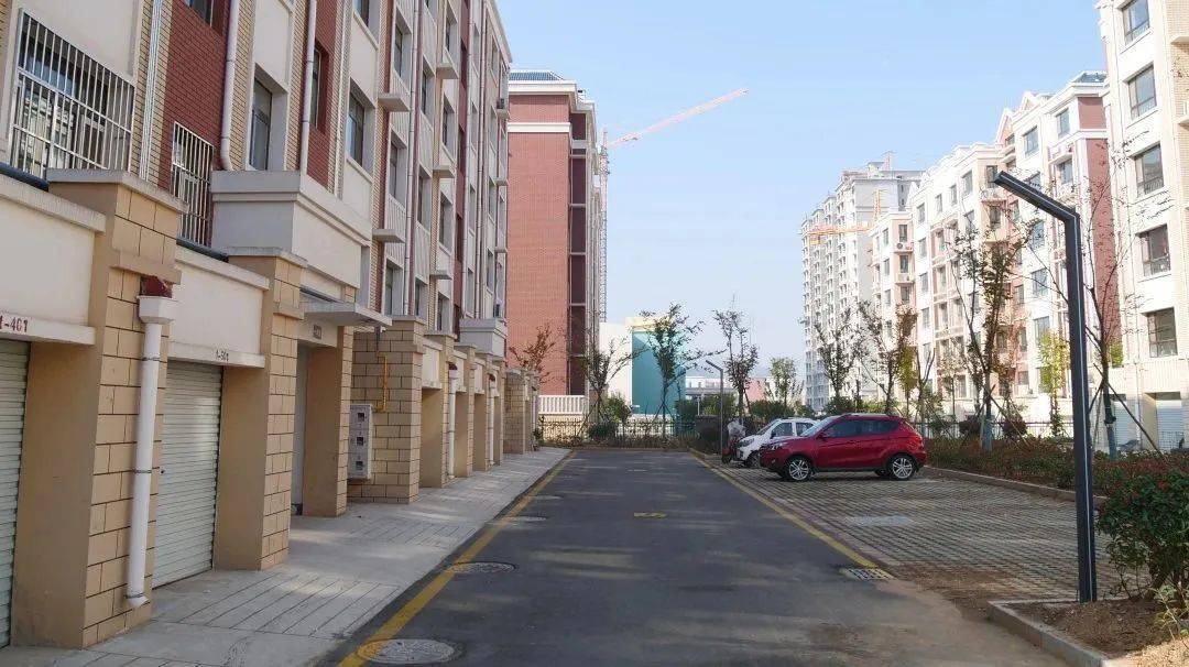 肥城市仪阳街道:村庄大变样 村民乐开怀_东鲍村_群众_建设