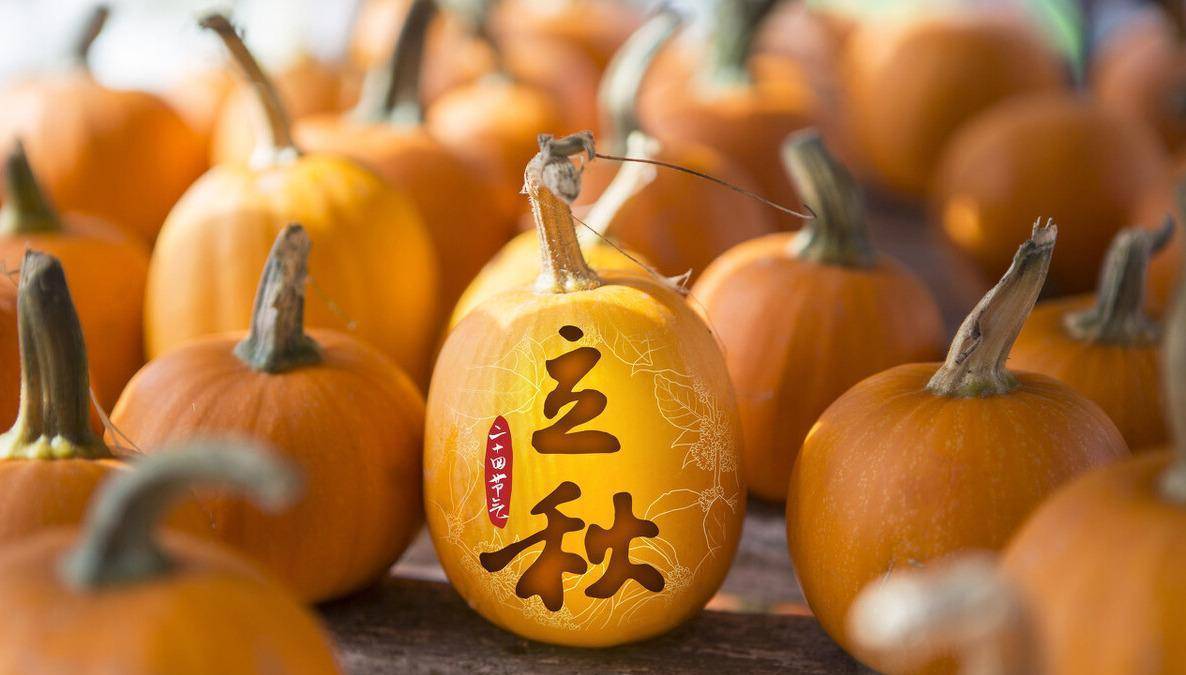 江西萍乡立秋节气,吃煨辣椒,腌剁辣椒柚皮,延续至今的传统美食_茄子