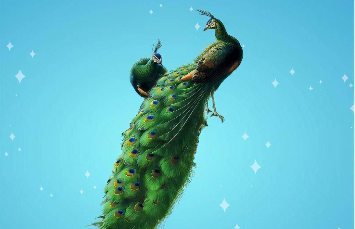 黄皮肤女生想要驾驭孔雀蓝,这5个技巧要收好_色彩_面积_设计