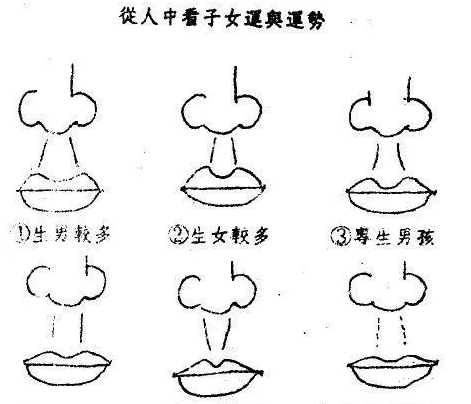 面相学 看子嗣