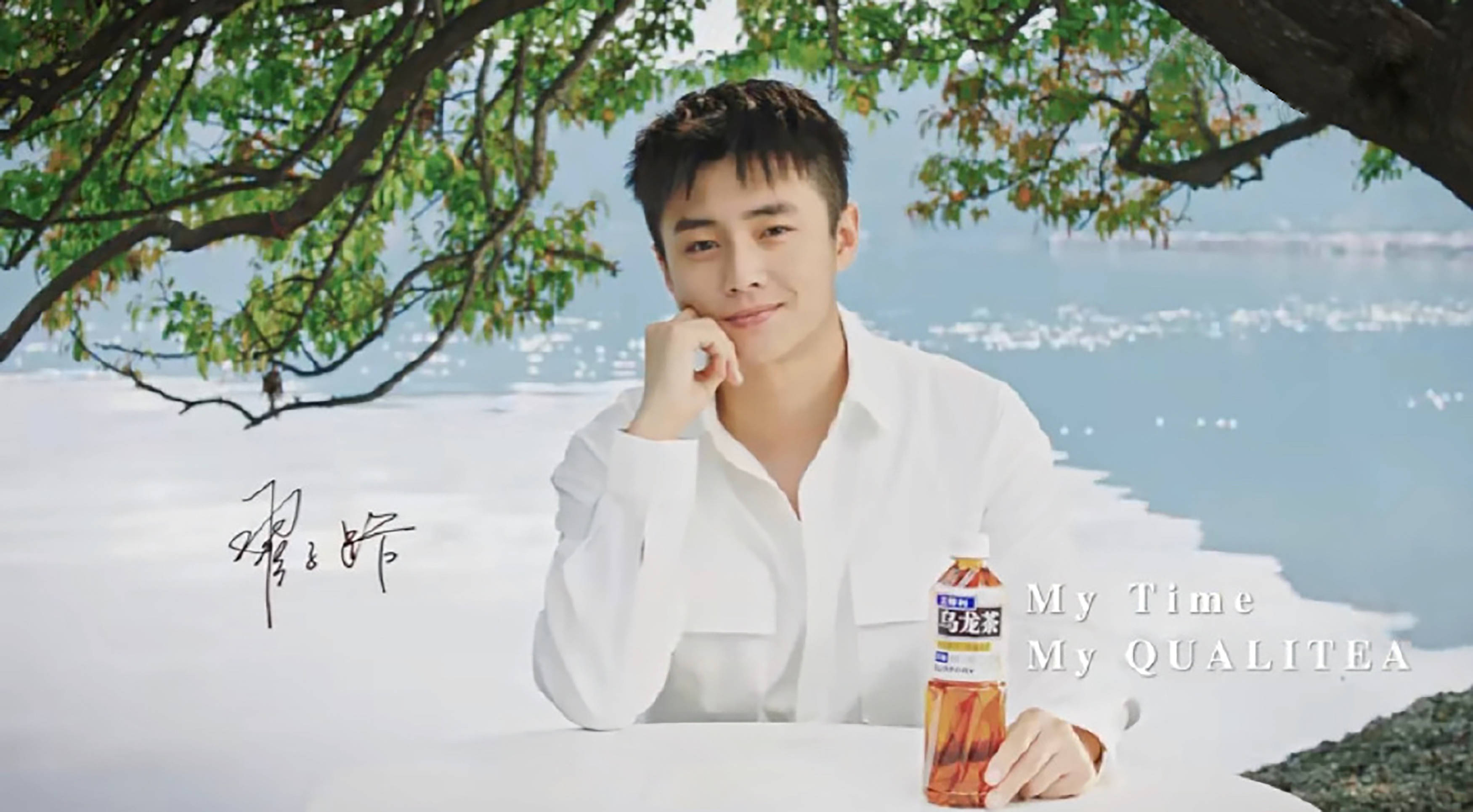 翟子路—三得利饮料品牌大使_中国_包装_投资