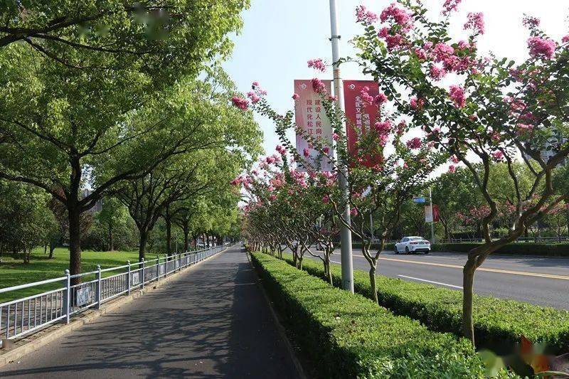 2022年度上海市绿化特色道路评选结果今起公示,看看ta们都在哪里
