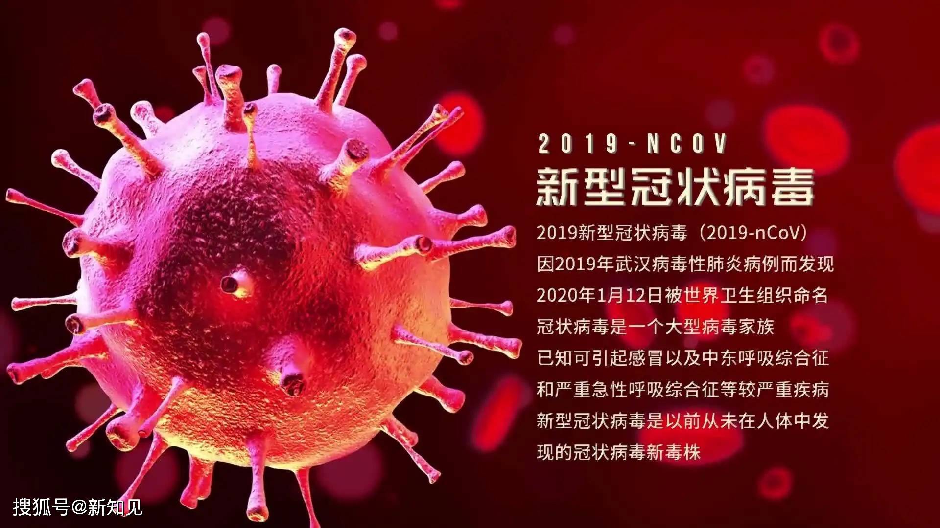 2020年新冠肺炎病毒图片
