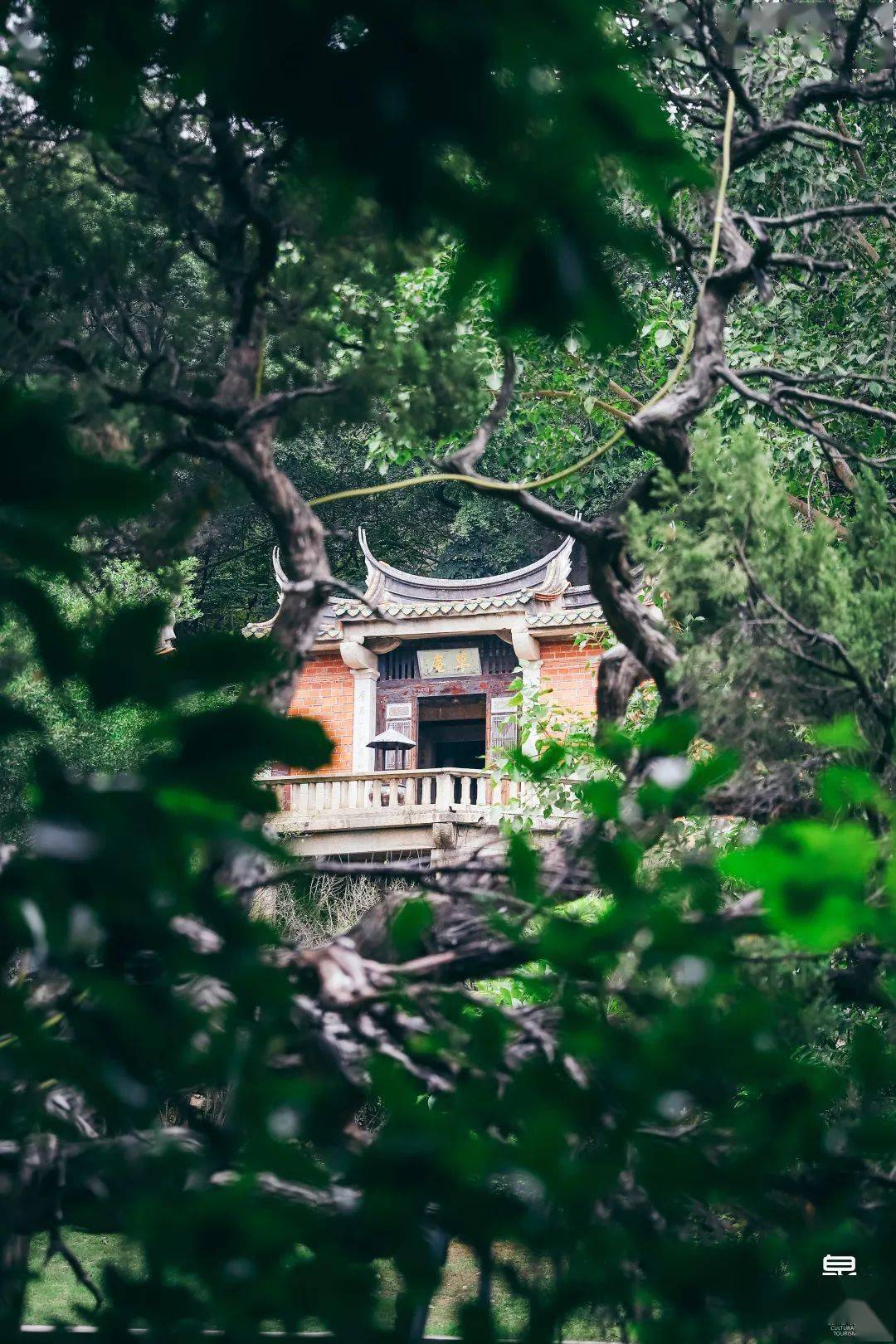《桂枝香·草庵访古》庄灿煌