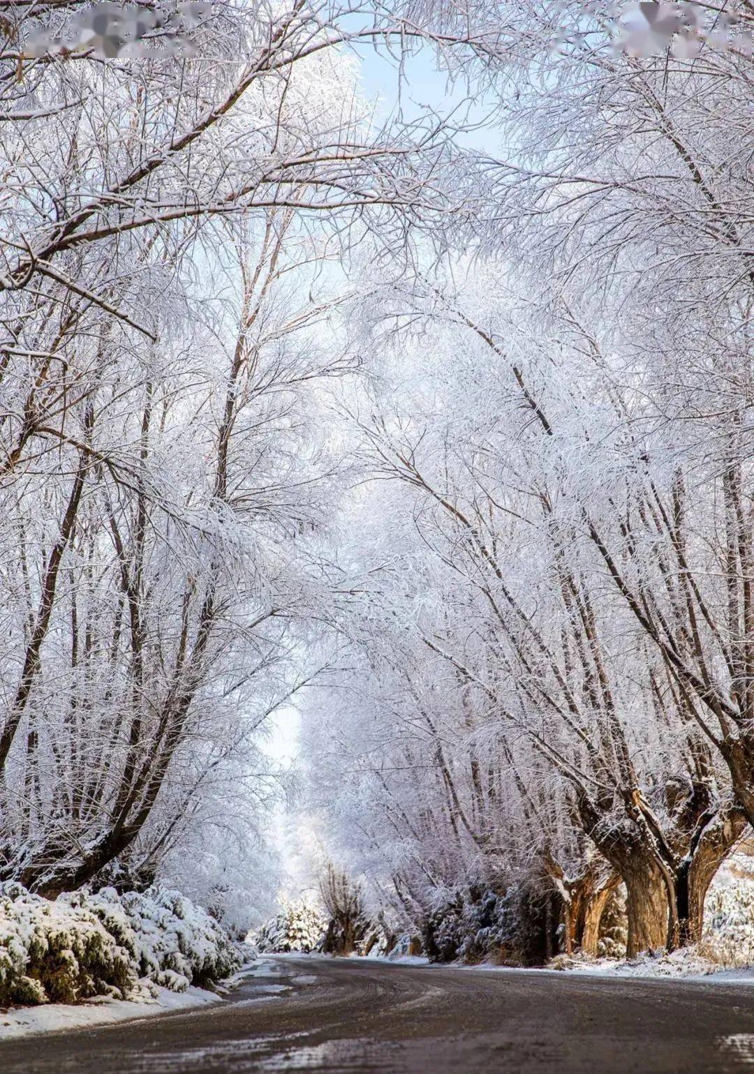 银装素裹,令人心醉不已~_冬日_白雪_模样