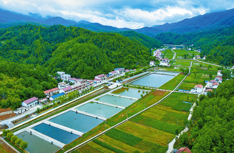 【商洛日报】：项目引擎为高质量发展蓄势赋能 ——镇安县2022年重点项目建设工作综述_投资_康养_产业