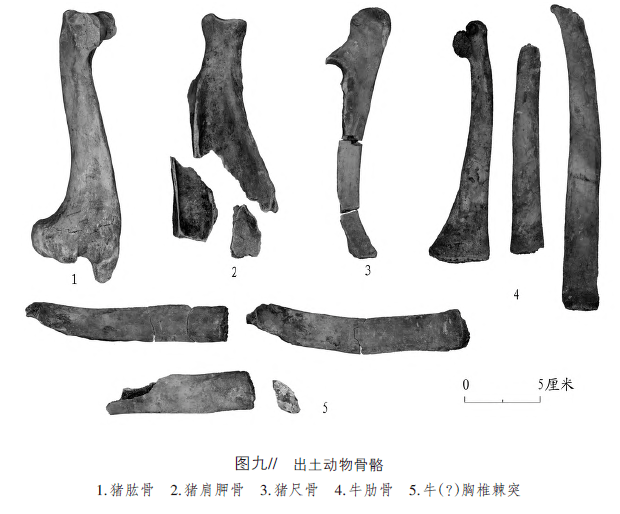 山东莒南县中刘山春秋墓及其相关问题_青铜器_纹饰_曲纹