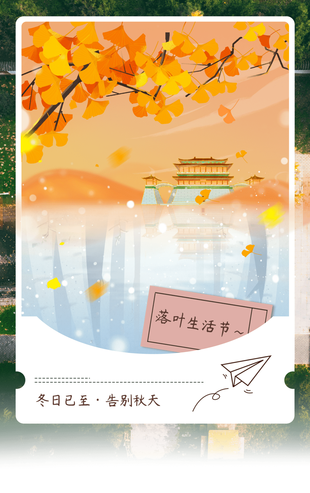 初冬已经来临,不知不觉又过了一个秋~_生活_落叶_直播