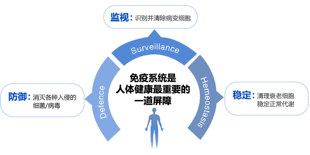 全面放开,拼免疫力的时代到来了!_病毒_人体_疫情