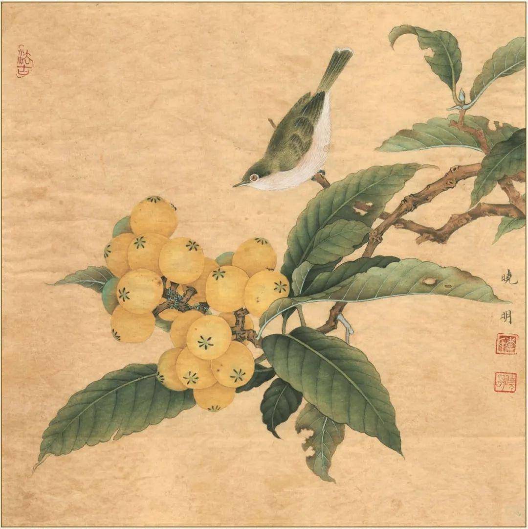 李晓明老师的工笔花鸟画,真是恰到妙处_水仙_水墨_葡萄