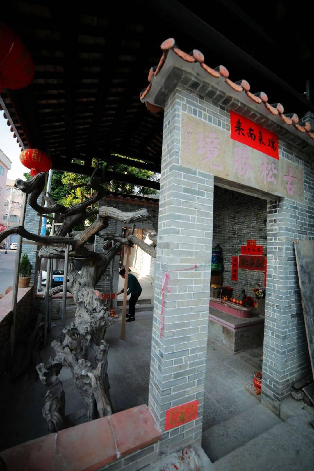 顺德勒流上涌2022_上涌村_公祠_古松