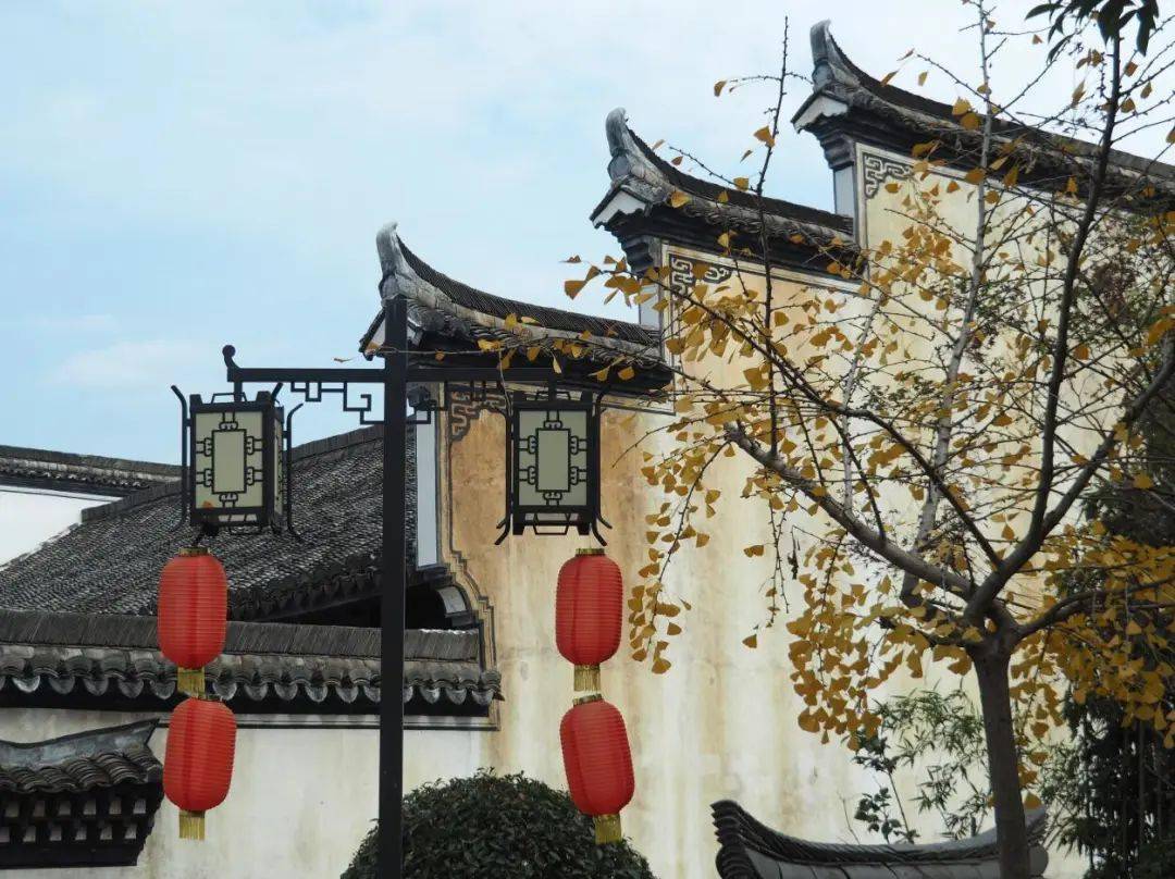 吴良村_东阳_文化