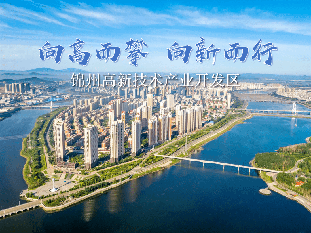 锦州高新技术产业开发区供图有为政府 有效市场,赋能企业享受政策