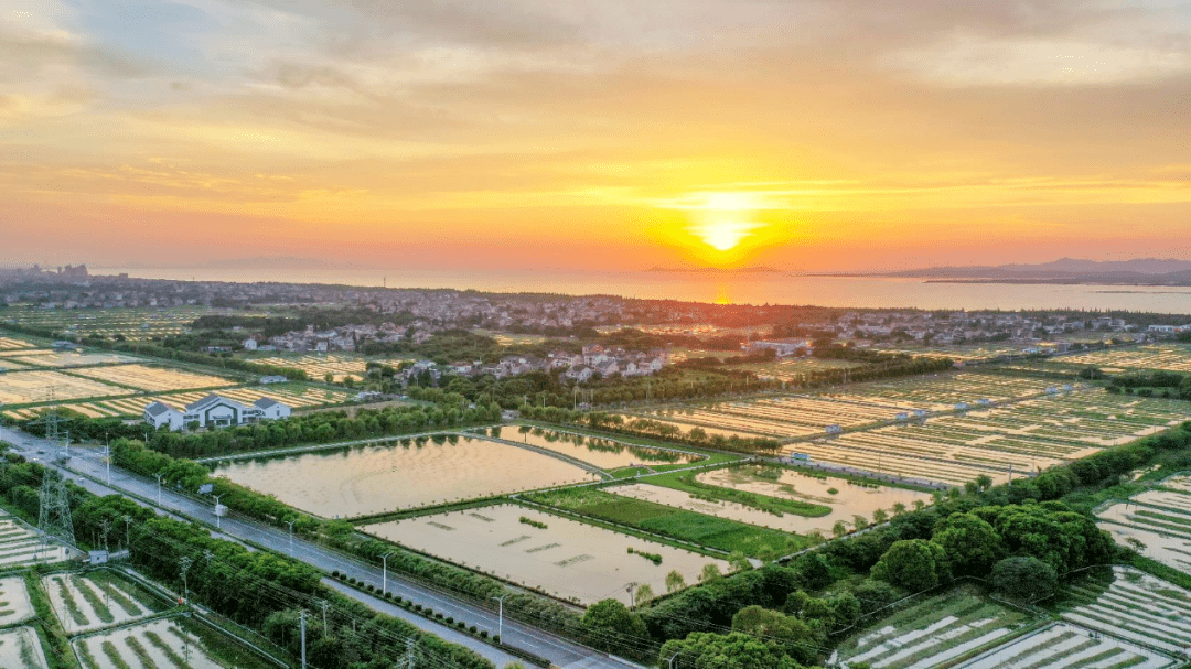今日湖塘,现代化元素注入了塘浦圩田,紧跟社会转型的步伐,与时俱进