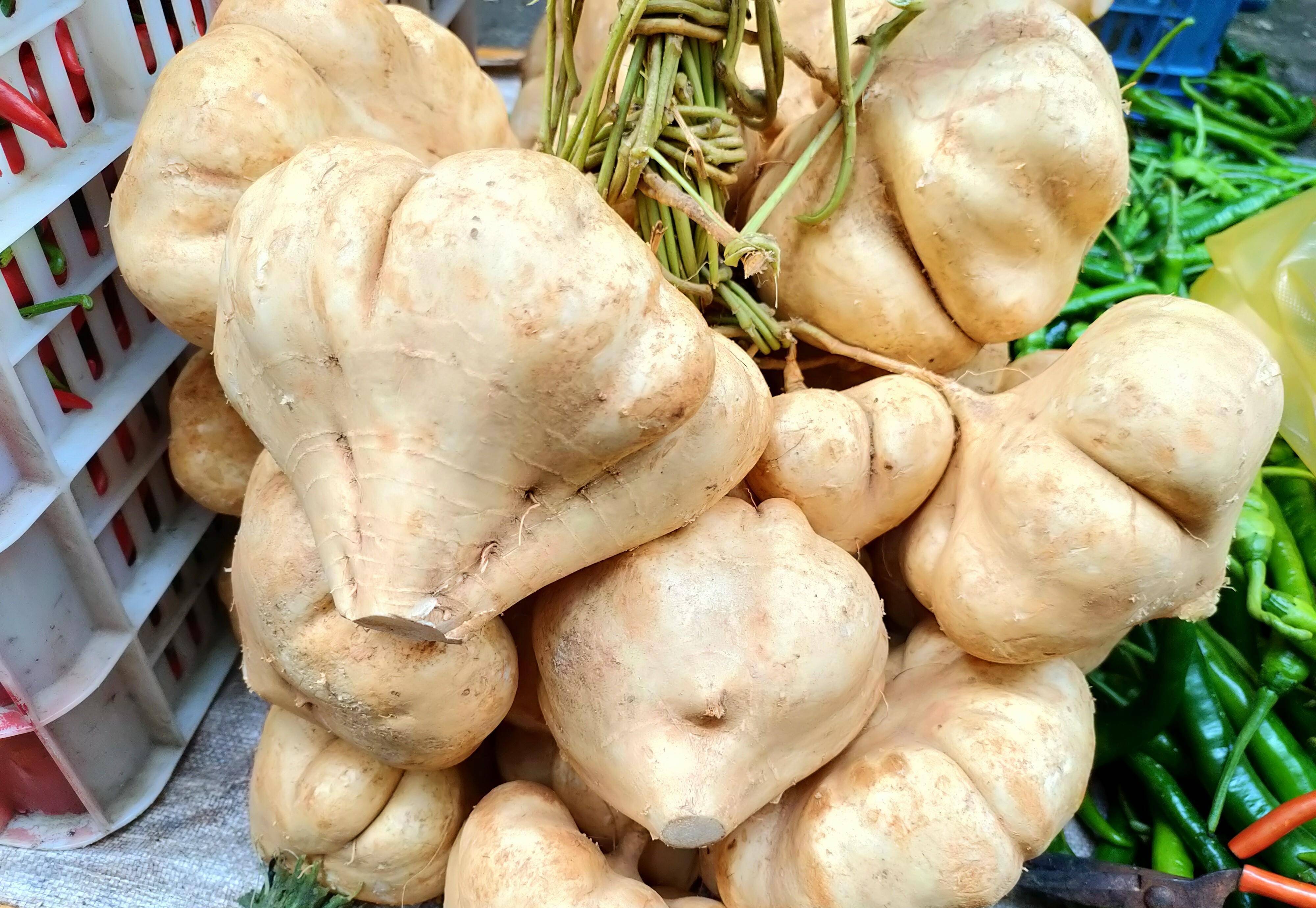 豆薯性平,味甘,食用之后有助于生津止渴,润燥降火,在秋季适合润的蔬菜