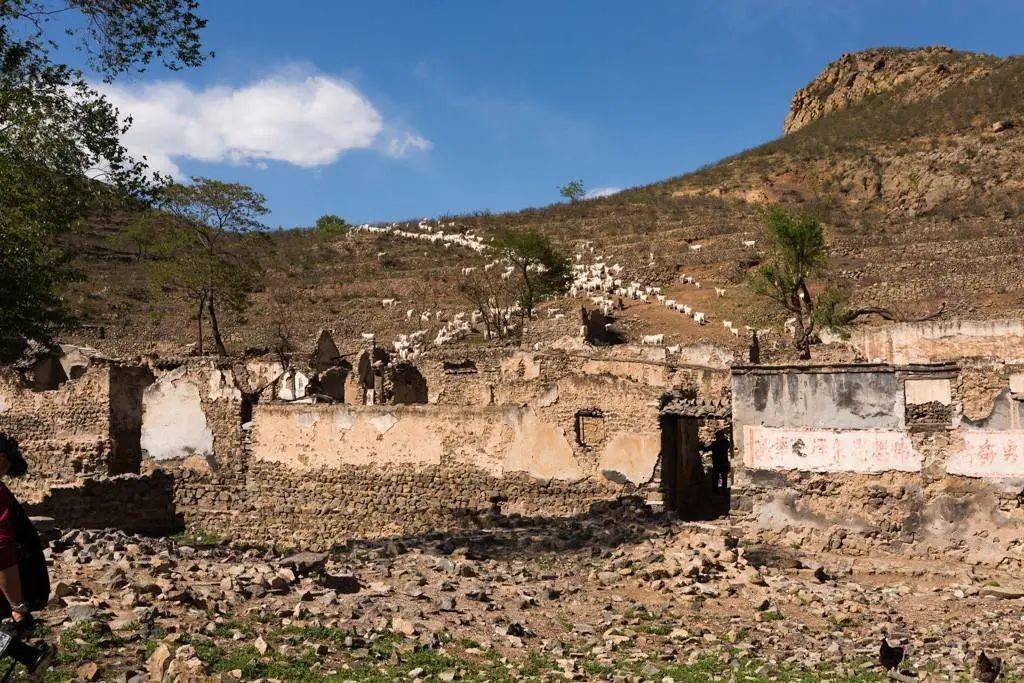 悼念发生在门头沟的"王家山惨案"受害同胞!_王霜红_长谷川_宝贺