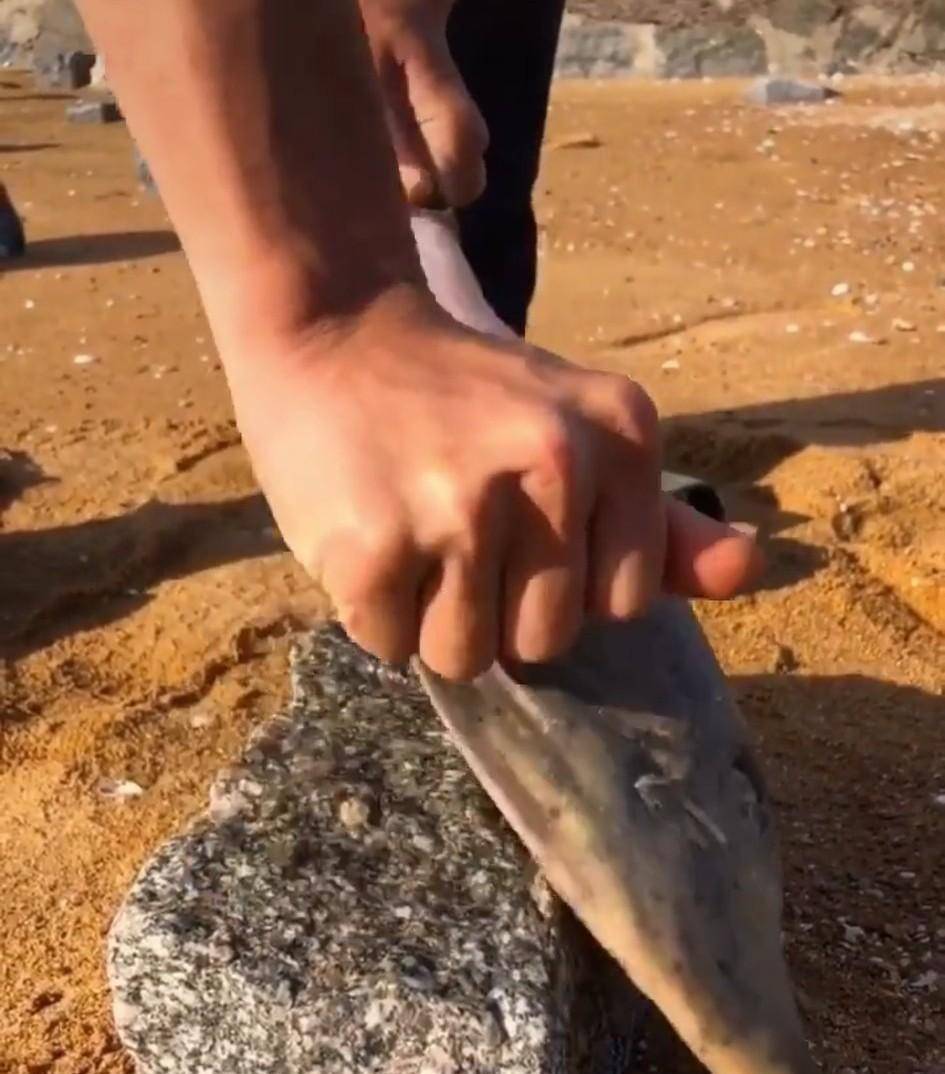 人称"老鼠鱼"吃的时候要扒皮,也叫扒皮狼鱼,烤着吃味道不错_水质_做法