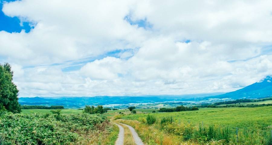 家电市场孕育着一场场微观新变局-家电圈官网