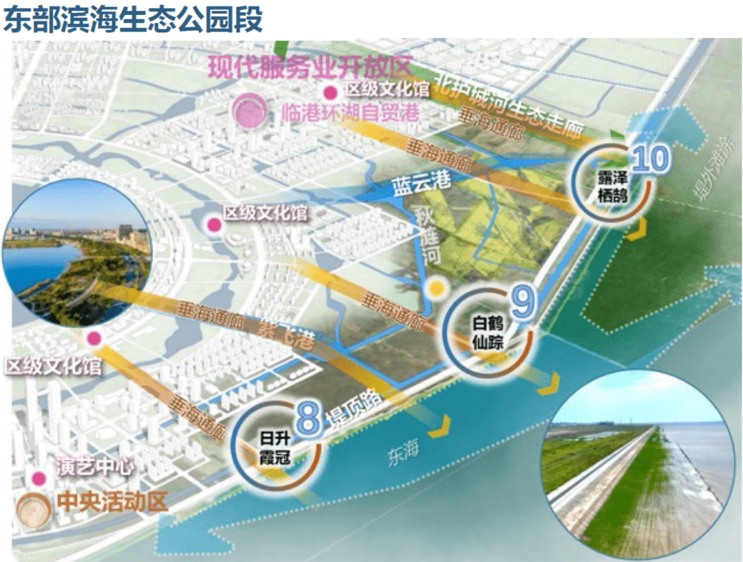 南汇新城绿环"牵海玉环"规划公示!