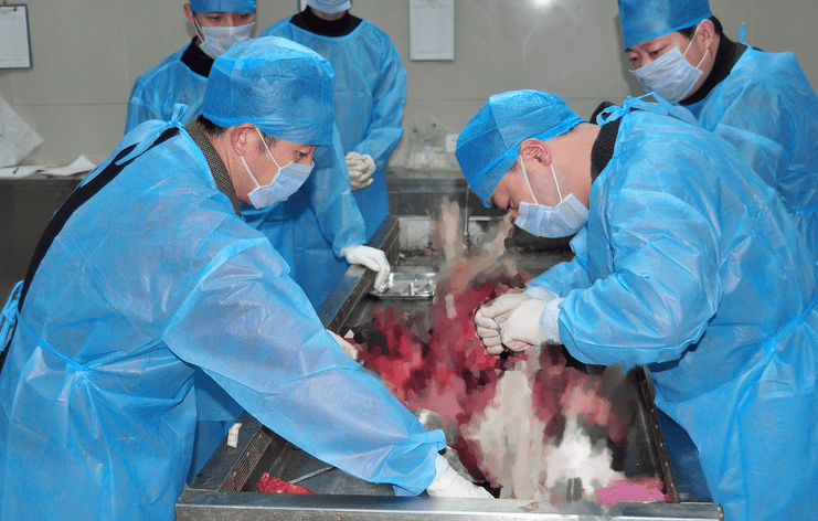 21岁女教师与男友共处一夜,第2天被发现裸死宿舍_黄静_姜俊武_戴灿荣