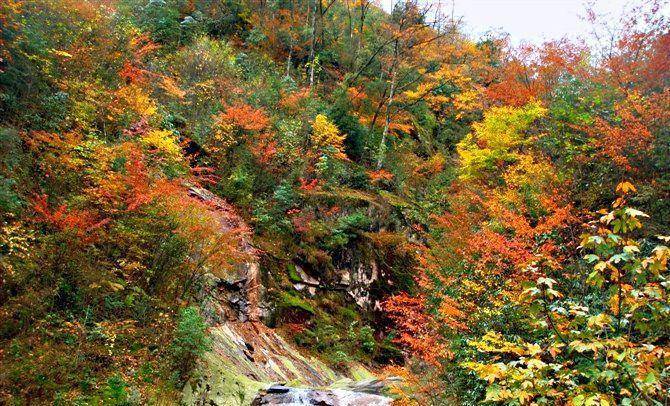 牟阳故城大坝红叶及景色不逊光雾山_老郭_景区_停车场