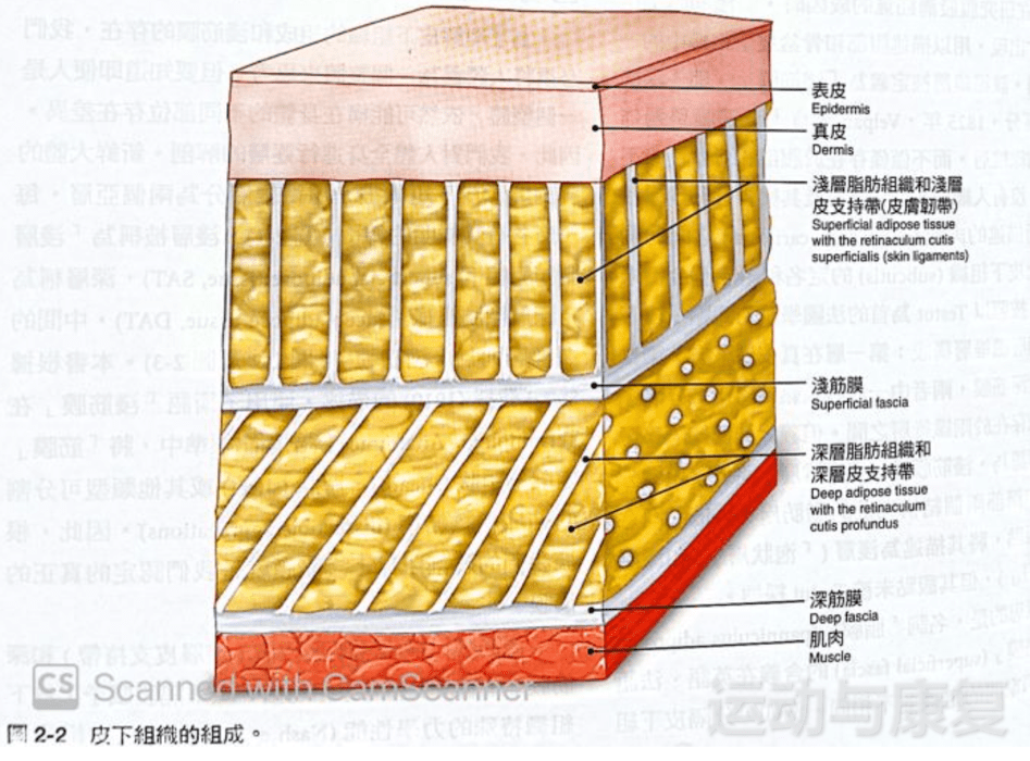 心得经验怎么写_ph massage经验心得_心得经验稳赚方法