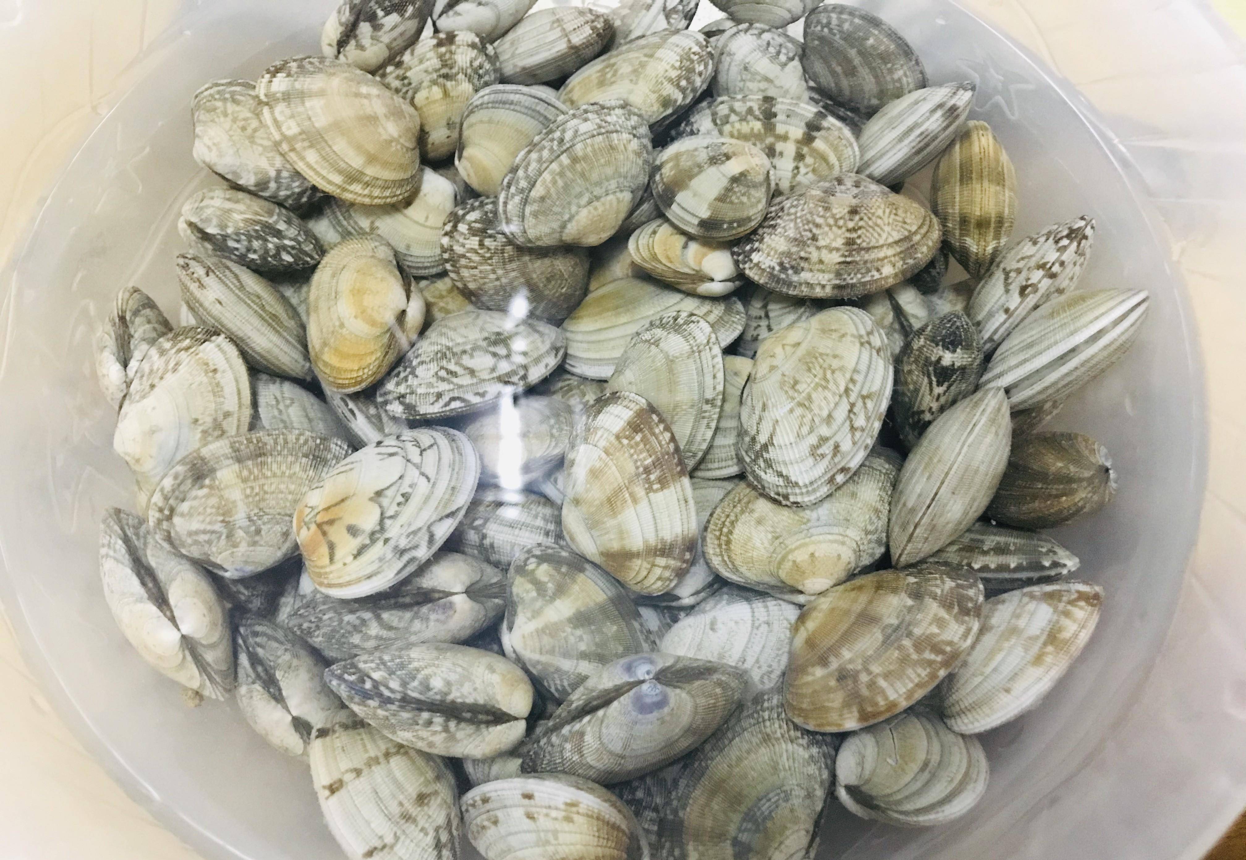 秋天渐凉,吃螃蟹不如吃它,肉质细嫩,味道鲜美,温暖你的胃_沙甲_时候