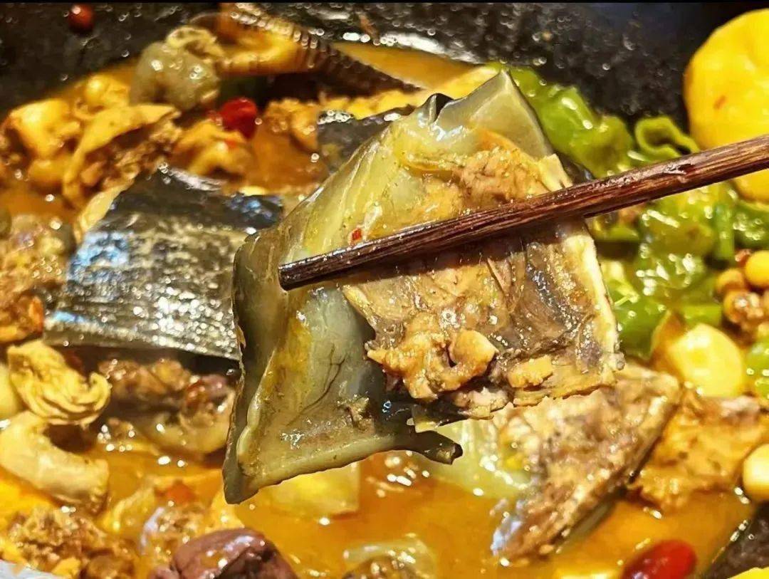 柴火鸡炖甲鱼 下时蔬 千丈 餐位 纸巾_土鸡_旅游_网络