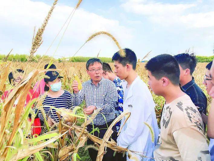 优质学校建设的实践与思考_优秀学校经验介绍_提炼优质校项目建设经验