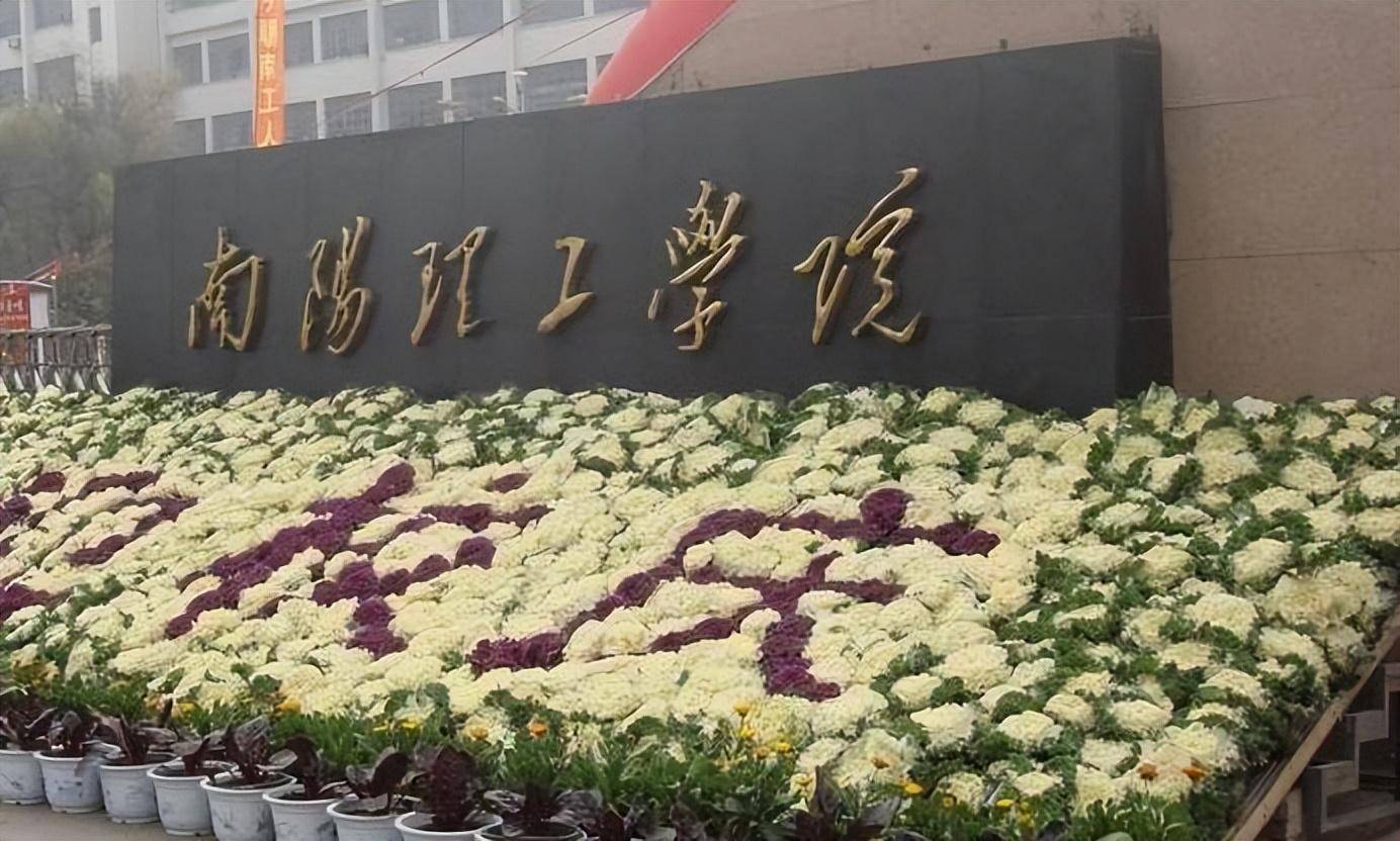 南阳理工学位证书 来自搜狐网