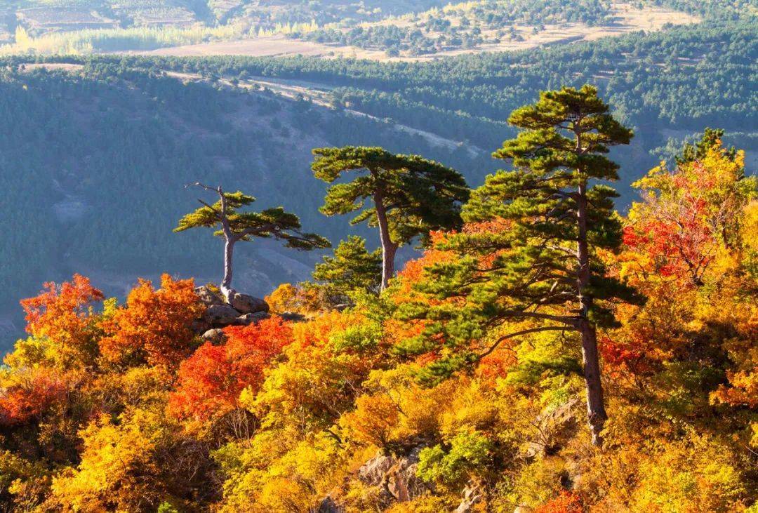 建平印象·山水筑梦_秀山_生态_黄花山