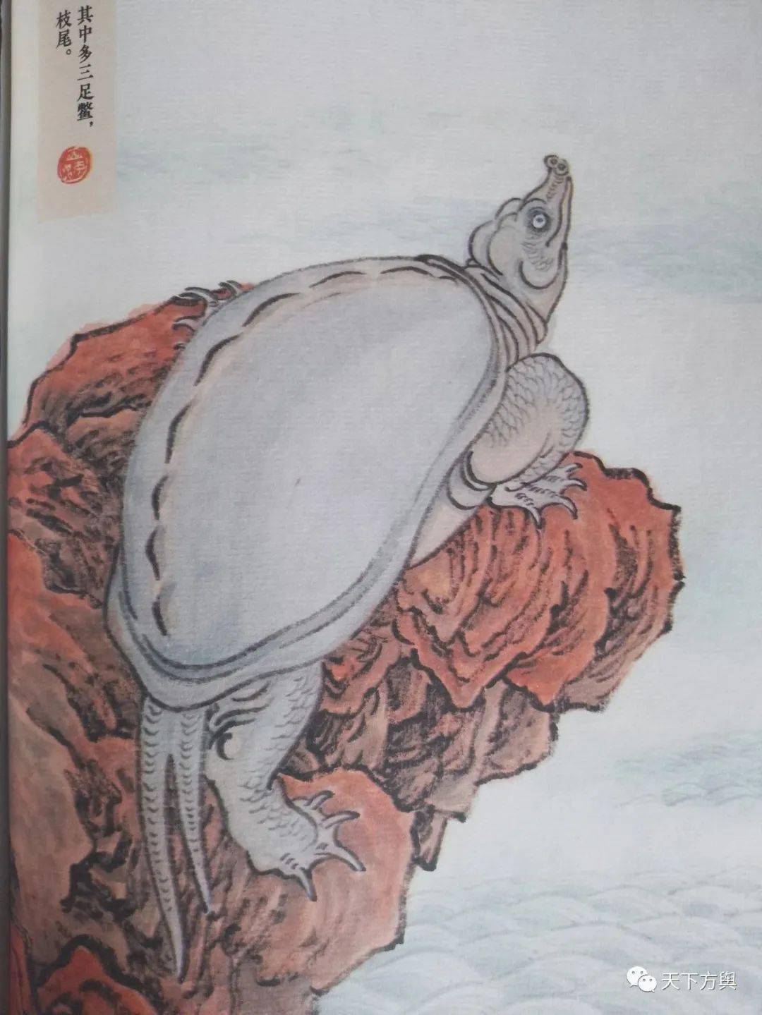 猼訑:形状像羊,九尾四耳,眼睛长在背上,佩戴其皮毛就不会感到恐惧