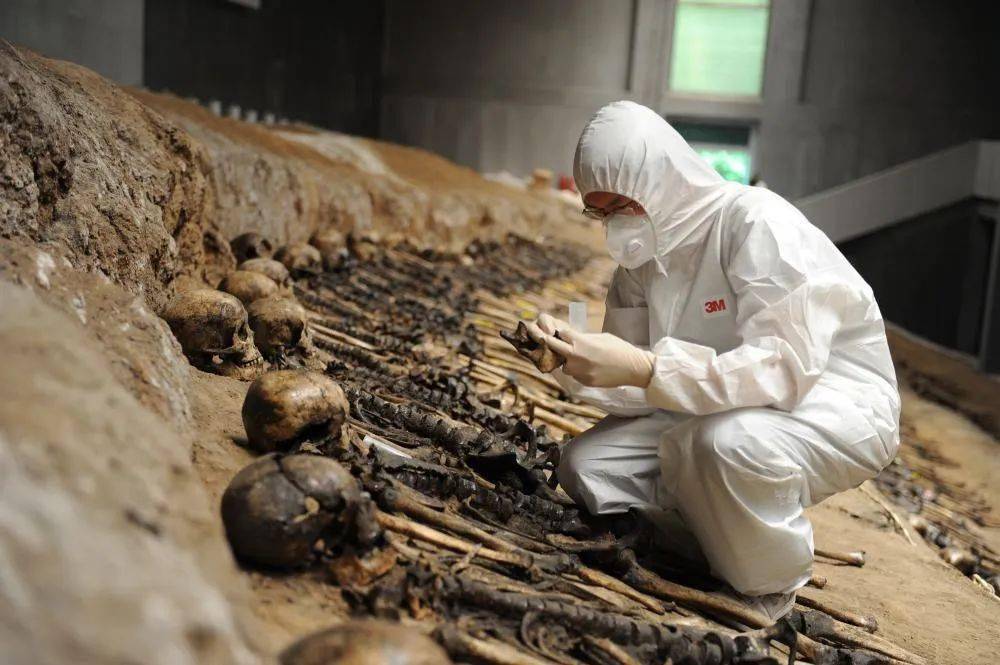 科研人员正助力"万人坑"侵华罪证长久保存_遗骸_辽源_进行