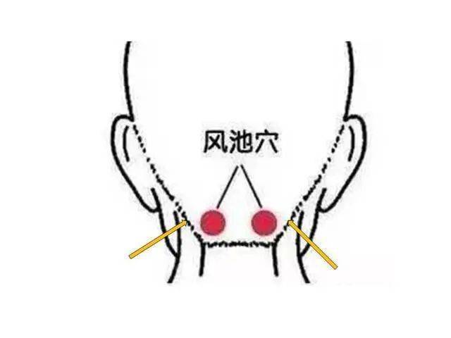 膻中位置皮肤鸡皮(膻中是人体哪个位置)
