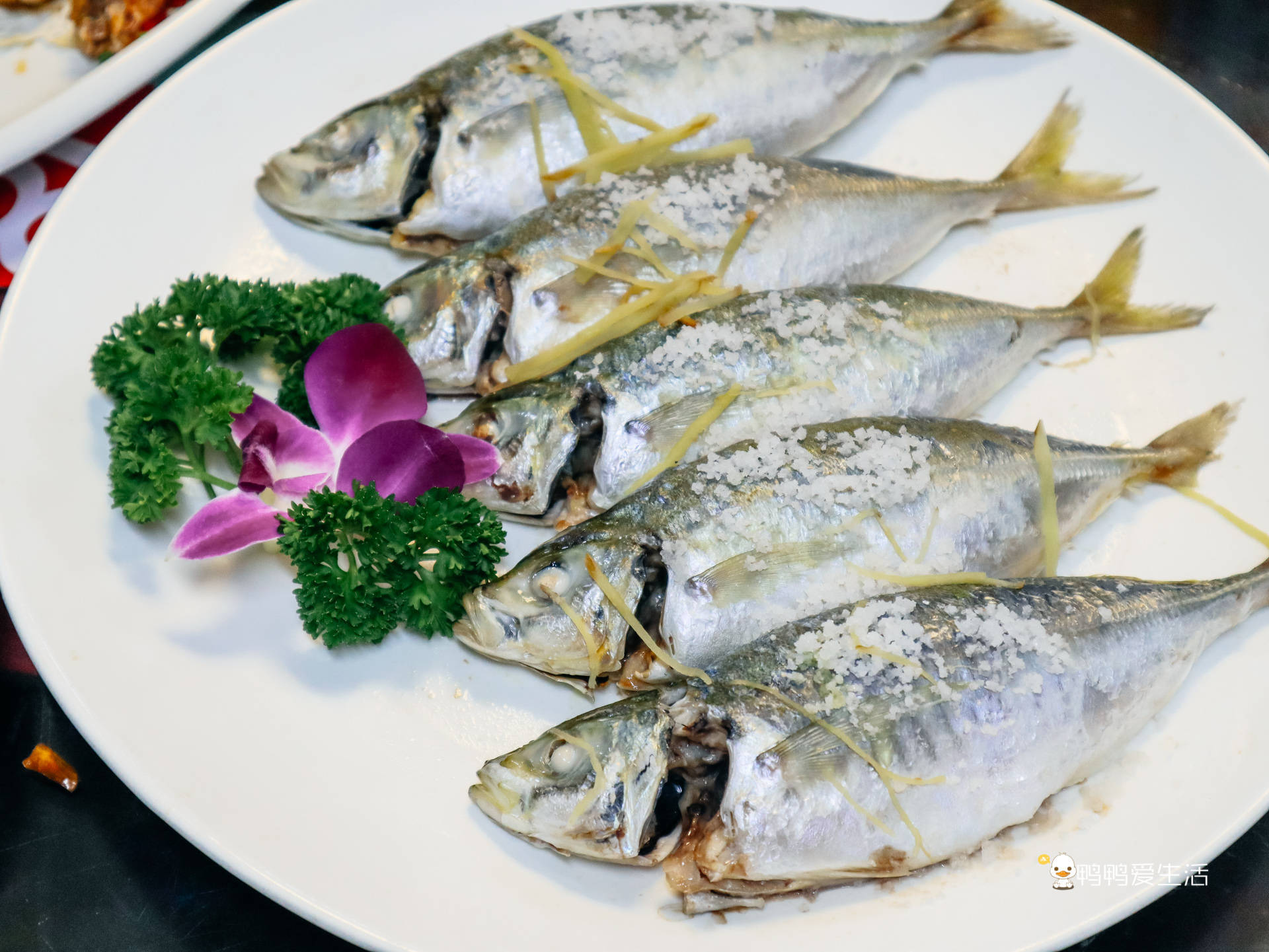 今天难得还有养殖巴浪鱼,赶紧的点上一份清蒸.