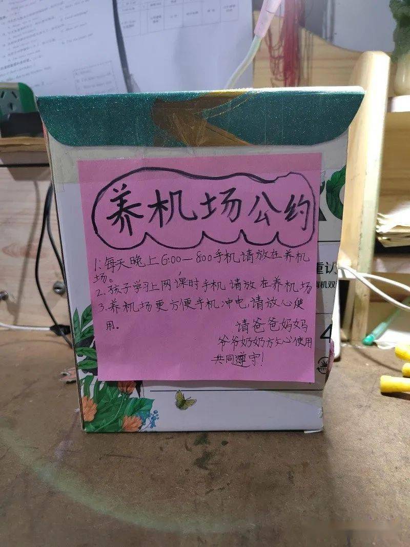 【生活德育】我是小场长|平阴县实验小学"养机场"