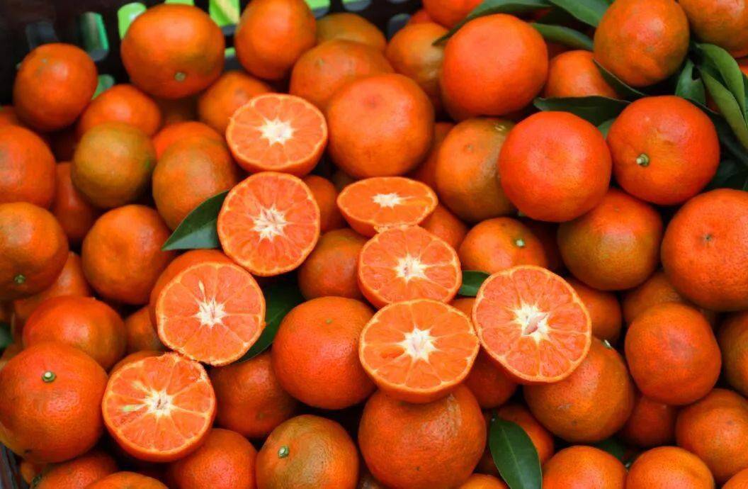 惠水:小个金桔似铜钱 黄里透红味道甜_金钱_种植_产业