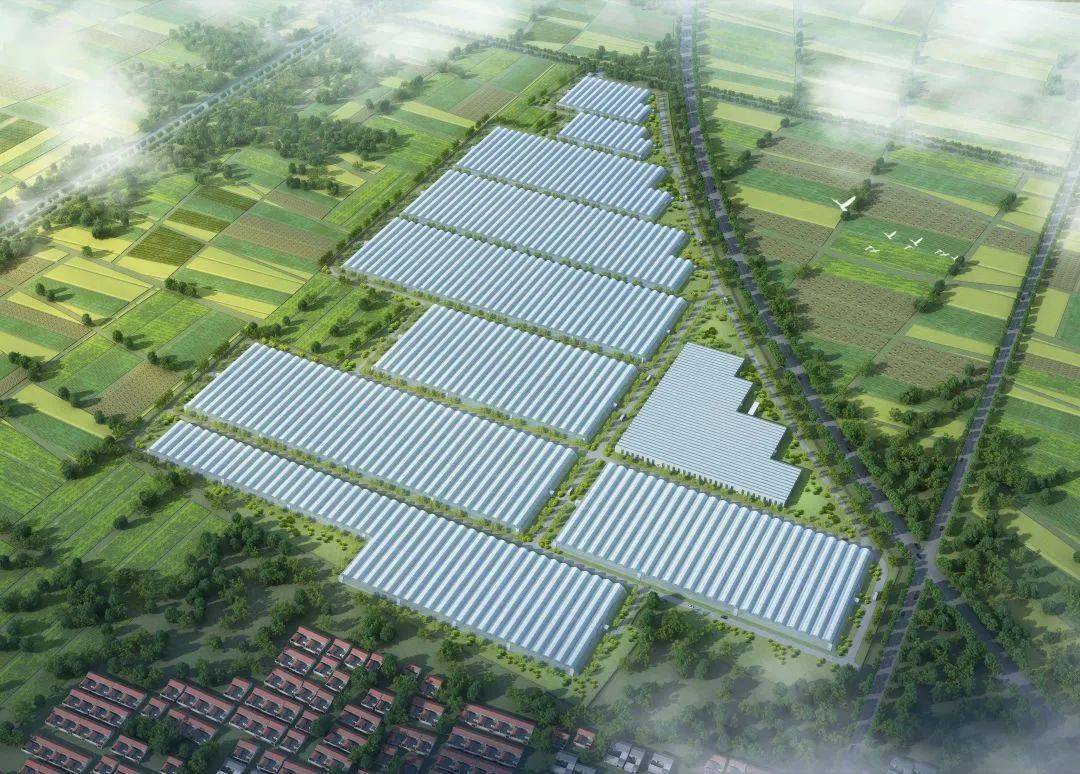 关注| 农业农村部重点实验室鲜切花联合研发中心落户浩宇园艺_科技