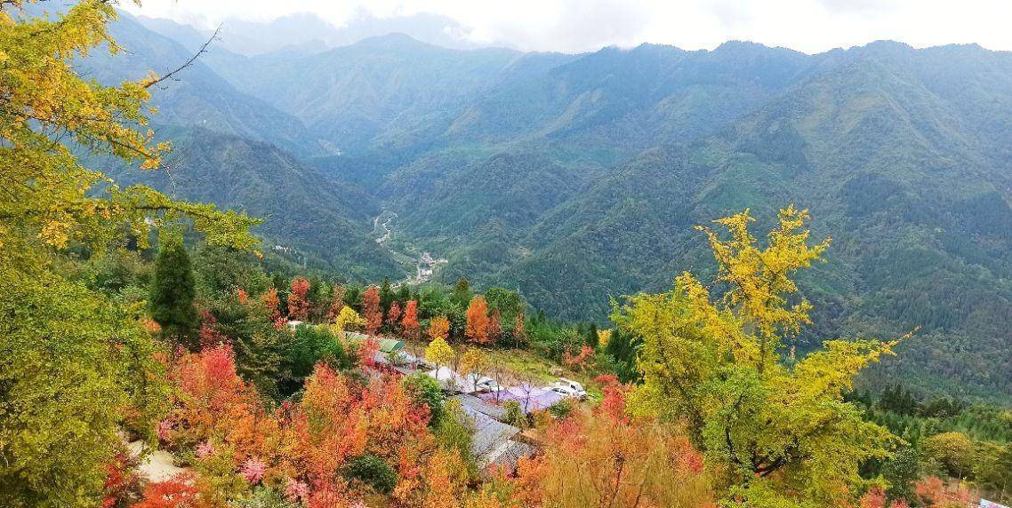 四川什邡川西红枫岭,秋天的山岭层林尽染,爬山赏枫呼吸清新空气