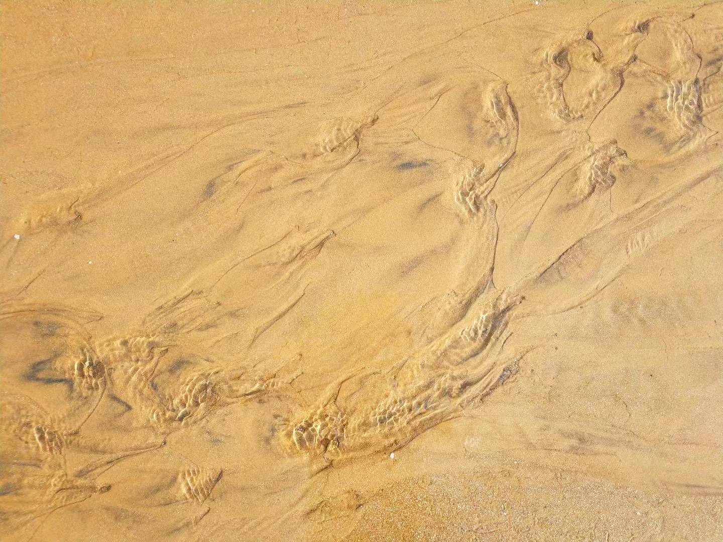 校園安全管理制度