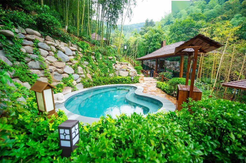 送竹韵温泉&观音堂滑雪门票,安吉2000亩茶园秘境,竹海山野度假~_竹林