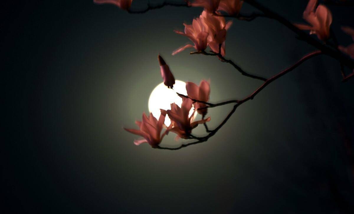 你是否也在看着那一弯上弦月,看着它,慢慢的缺失,慢慢的圆_月光_月夜