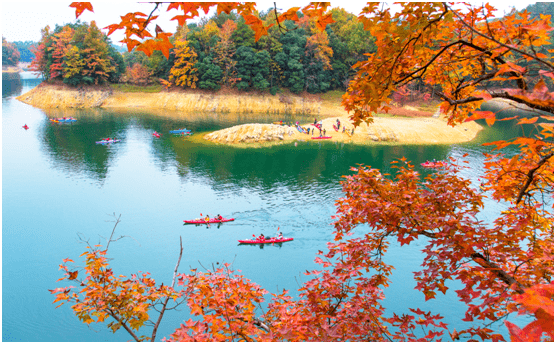 2022千岛湖红叶湾摄影大赛评选结果_作品_淳安_水上乐园