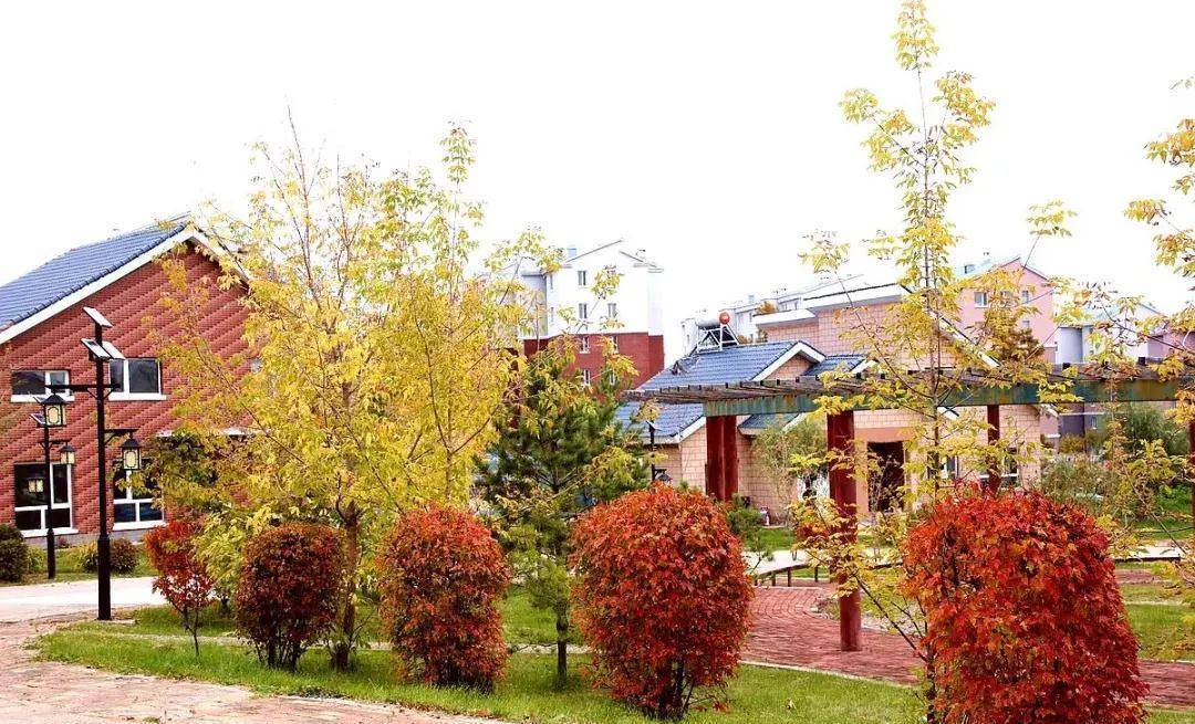 海林农场,北大荒上的"北欧"版旅游小镇_双峰_别墅_环境优美