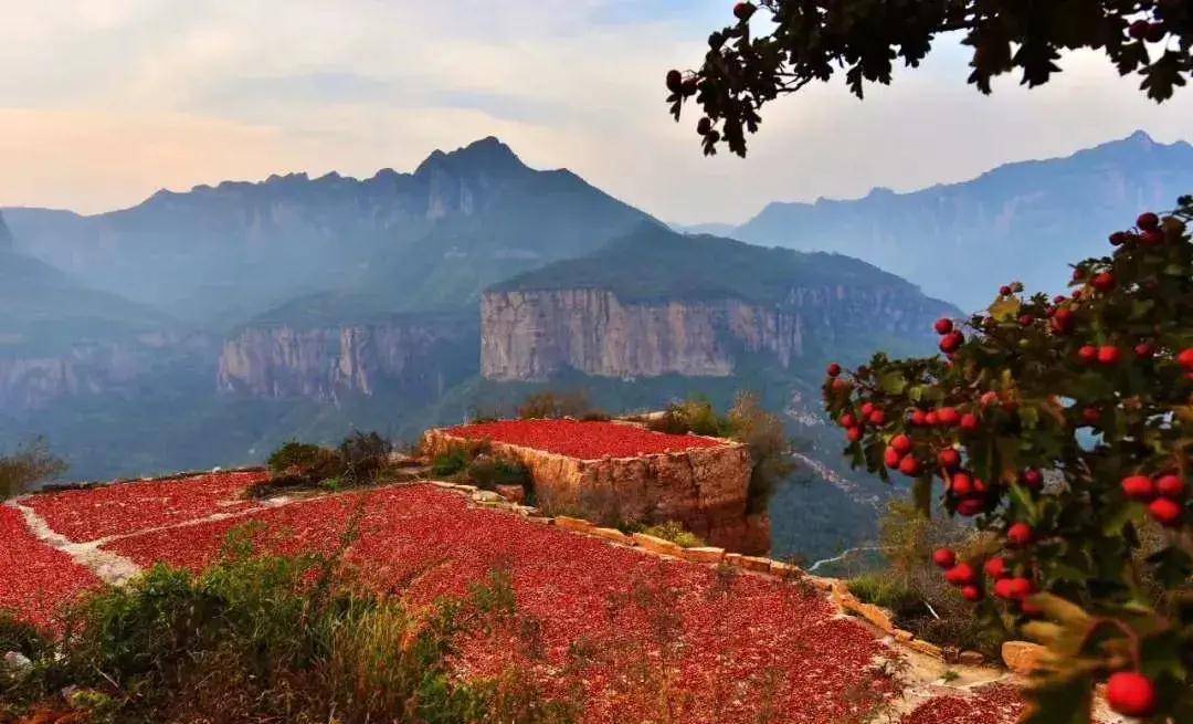 太行山秋景图片