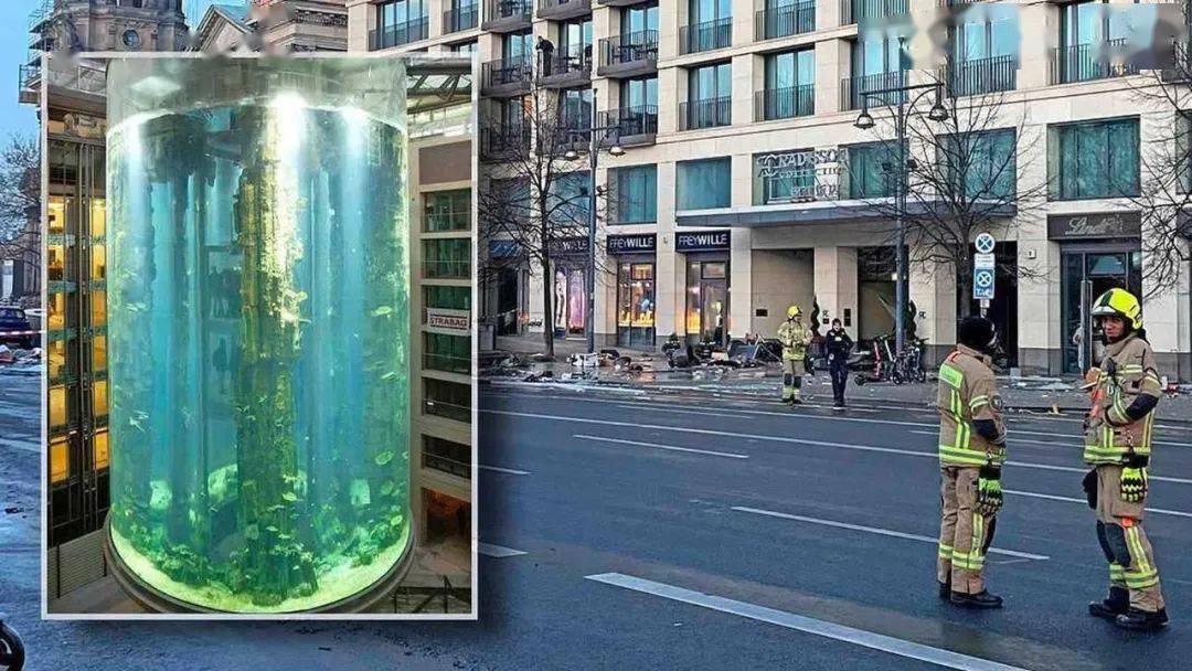 今天清晨,德国柏林的一个大型玻璃水族箱发生爆炸水族箱热带鱼屏保.