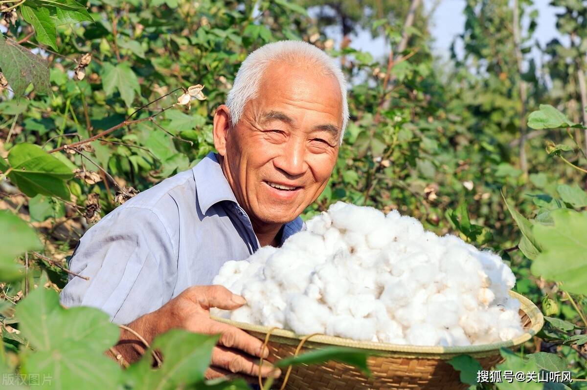 有事叫公公,无事脸朝东,“公公”是啥意思?这句话如何理解?_爷爷_父亲_地方