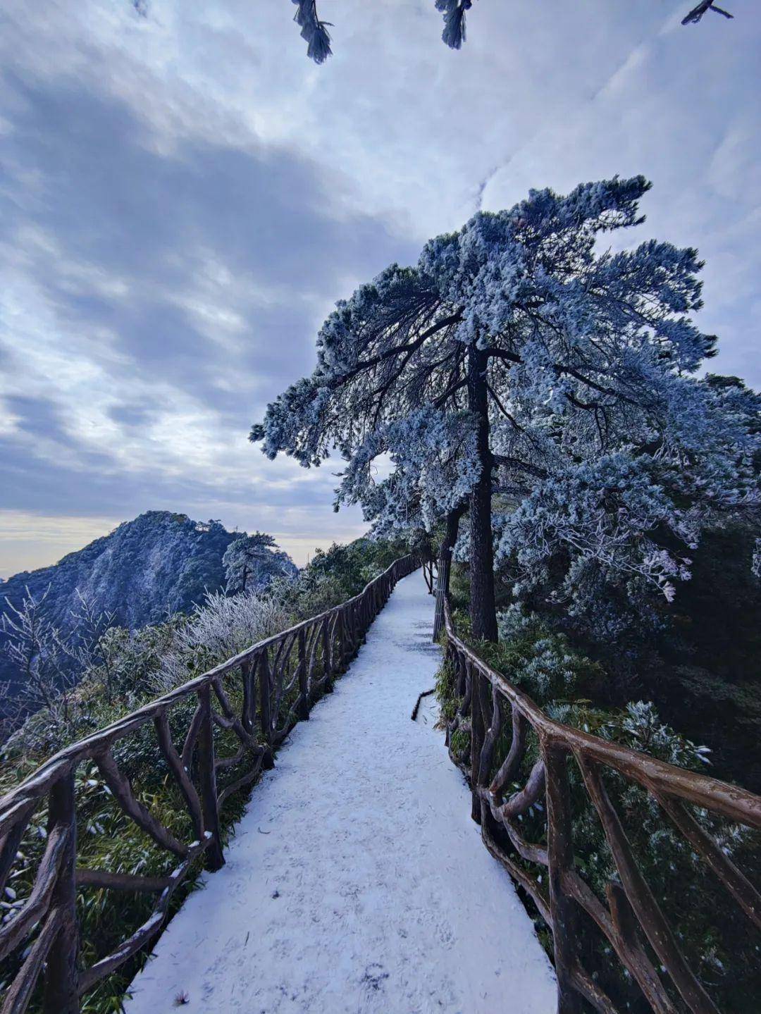 三清山雪景图片